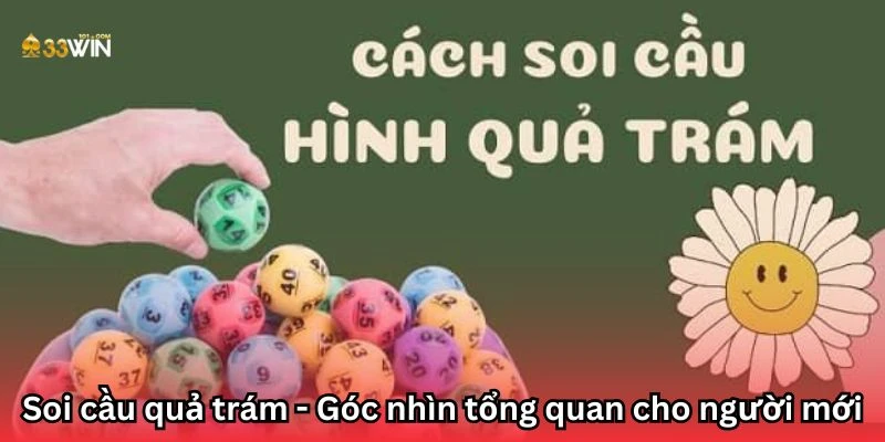 Soi cầu quả trám - Góc nhìn tổng quan cho người mới